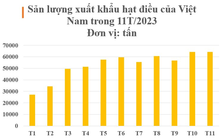 my san lung loai hat ??chau bau ?? cua viet nam chi 1 10 khu vuc tren the gioi cho ra chat luong tot nhat kiem hang tram trieu usd moi thang