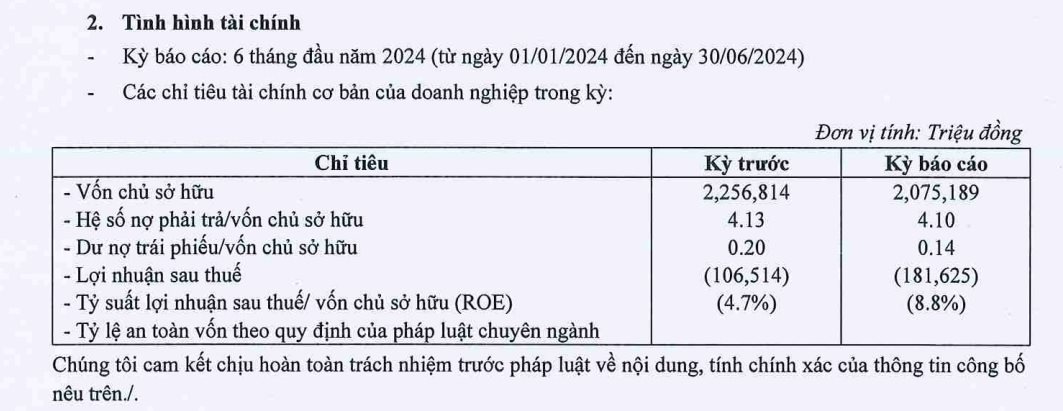 Tập đoàn Tiến Phước tiếp tục báo lỗ, gánh nợ hơn 8.500 tỷ đồng trong 6 tháng đầu năm- Ảnh 2.
