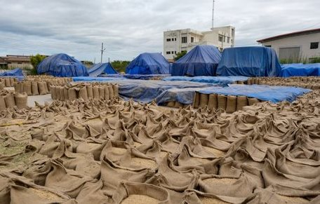 Một loại nông sản ‘trời ban’ cho Việt Nam đang bán đắt như tôm tươi tại Ukraine: Xuất khẩu tăng nóng 1.500%, nước ta là ‘trùm’ đứng thứ 3 thế giới- Ảnh 1.