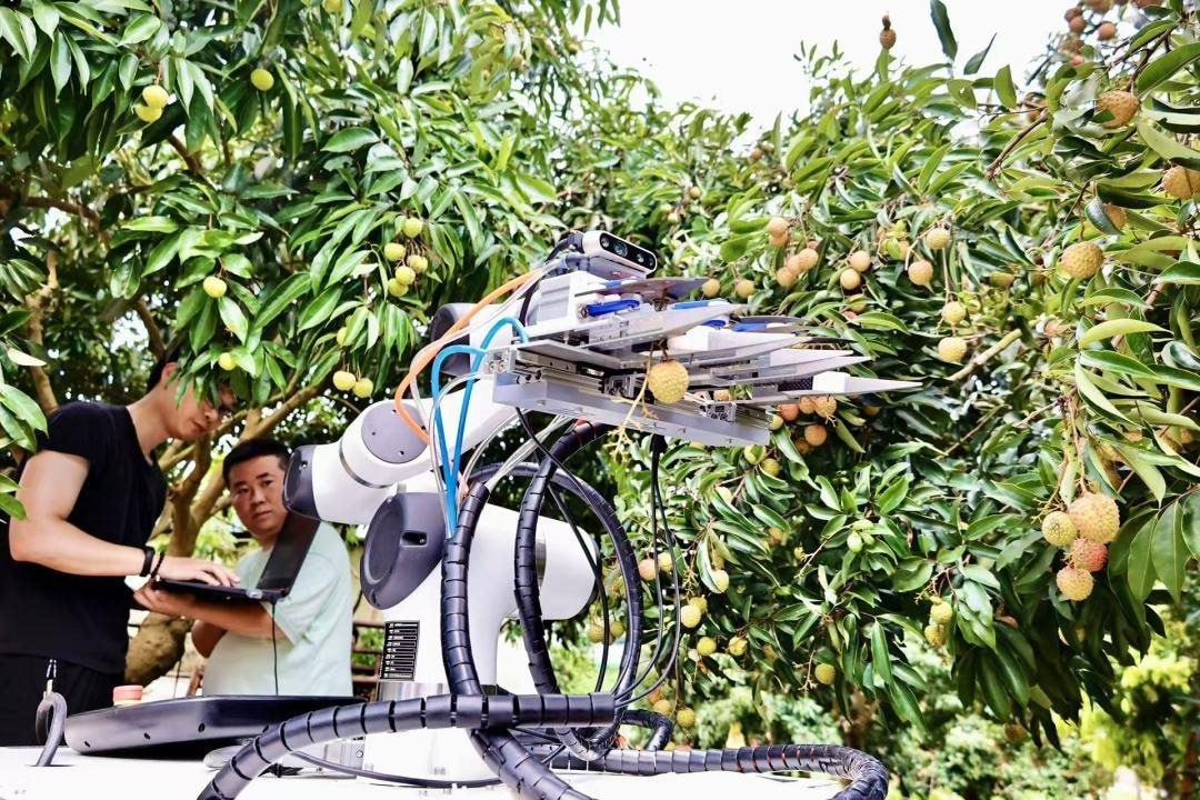Drone Bay Ngợp Trời, Robot Len Qua Từng Gốc Cây: Thủ Phủ Vải Thế Giới Thu Về Hàng Triệu Tấn Quả Tươi Nhờ Ứng Dụng Công Nghệ Vệ Tinh Và Ai Tiên Tiến Nhất 4 54838052 7690A50D 9462 4496 9663 3E7185F56A85