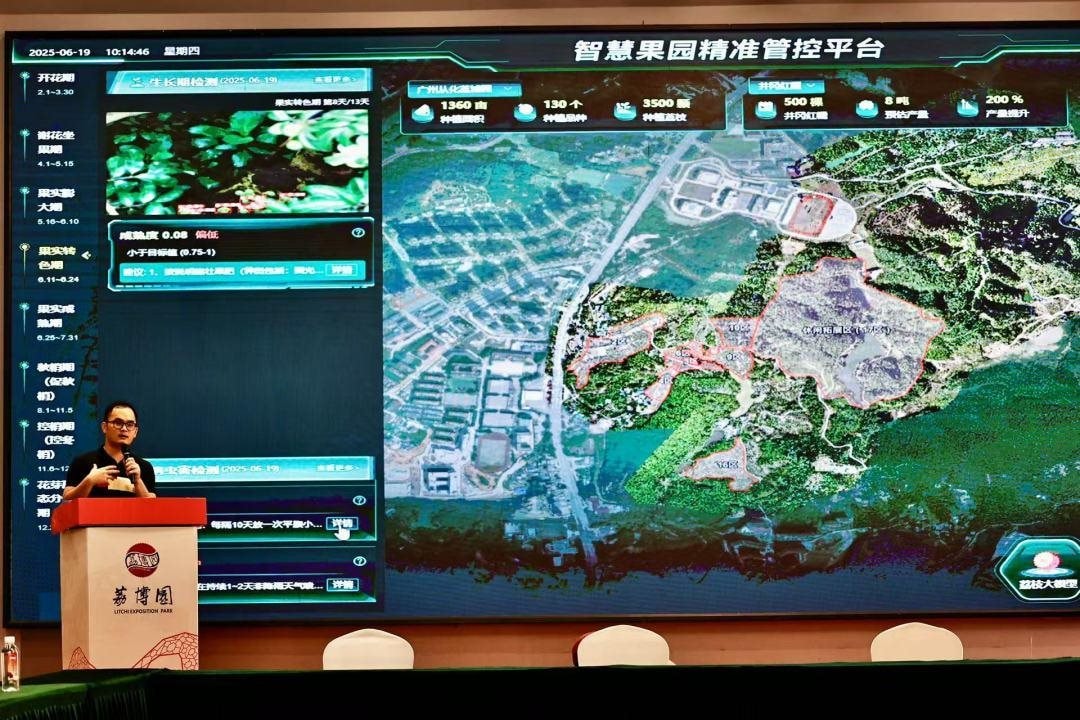Drone bay ngợp trời, robot len qua từng gốc cây: Thủ phủ vải thế giới thu về hàng triệu tấn quả tươi nhờ ứng dụng công nghệ vệ tinh và AI tiên tiến nhất- Ảnh 3. Drone bay ngợp trời, robot len qua từng gốc cây: Thủ phủ vải thế giới thu về hàng triệu tấn quả tươi nhờ ứng dụng công nghệ vệ tinh và AI tiên tiến nhất- Ảnh 3.