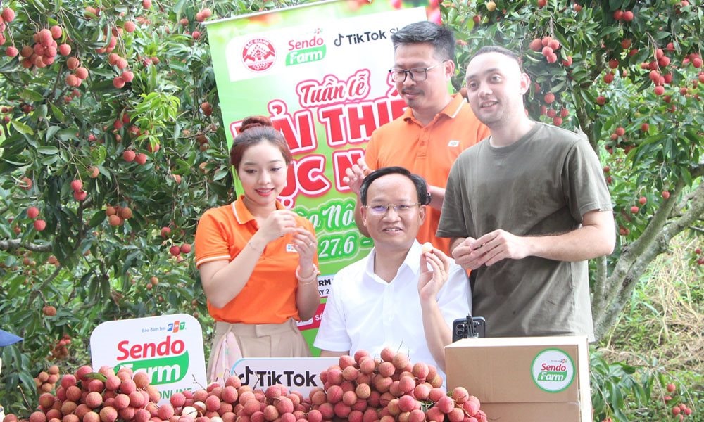 Phó Chủ tịch tỉnh Bắc Giang xuống vườn livestream bán vải: Chốt đơn hàng chục tấn chỉ trong một buổi sáng- Ảnh 1. Phó Chủ tịch tỉnh Bắc Giang xuống vườn livestream bán vải: Chốt đơn hàng chục tấn chỉ trong một buổi sáng- Ảnh 1.