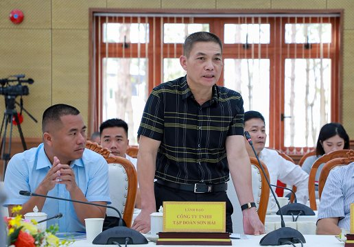 Vượt Đèo Cả, Tập đoàn Sơn Hải vừa trúng gói thầu tại dự án gần 10.000 tỷ đồng, sẽ thi công ngay tháng này- Ảnh 1.