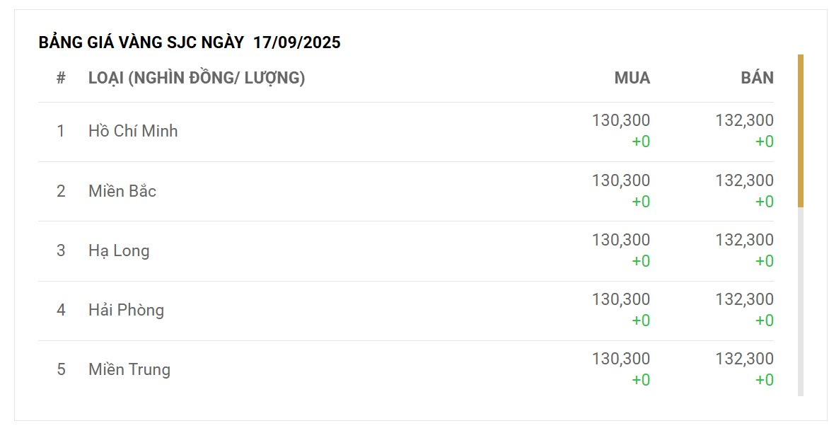 Chỉ đạo mới nhất của Thủ tướng về thị trường vàng, yêu cầu Ngân hàng Nhà nước sẵn sàng can thiệp - Ảnh 3.