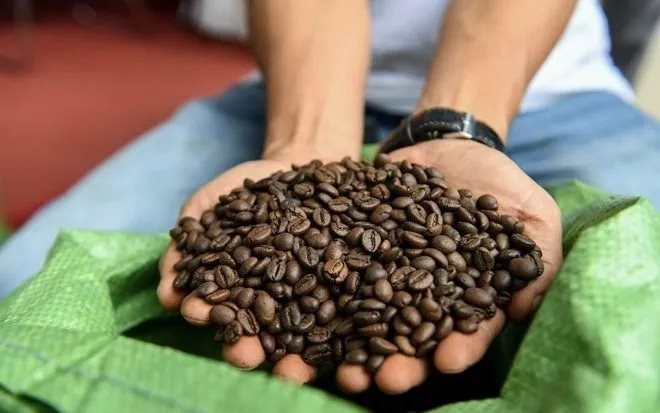 Một mặt hàng của Việt Nam lập kỷ lục thu về gần 7 tỷ USD, hơn 80 quốc gia ồ ạt chốt đơn - Ảnh 3.