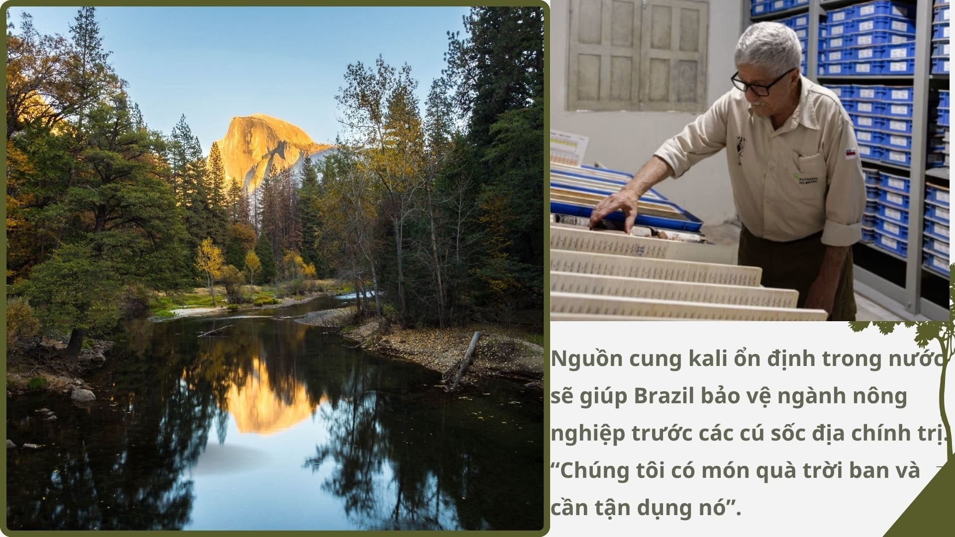 Không phải vàng hay dầu, nền kinh tế trên 200 triệu dân săn lùng ‘kho báu’ trải dài 400 km sâu dưới rừng nhằm dắt lưng 'vũ khí' giữa thương chiến, Trung Quốc ngỏ ý tham gia - Ảnh 4.