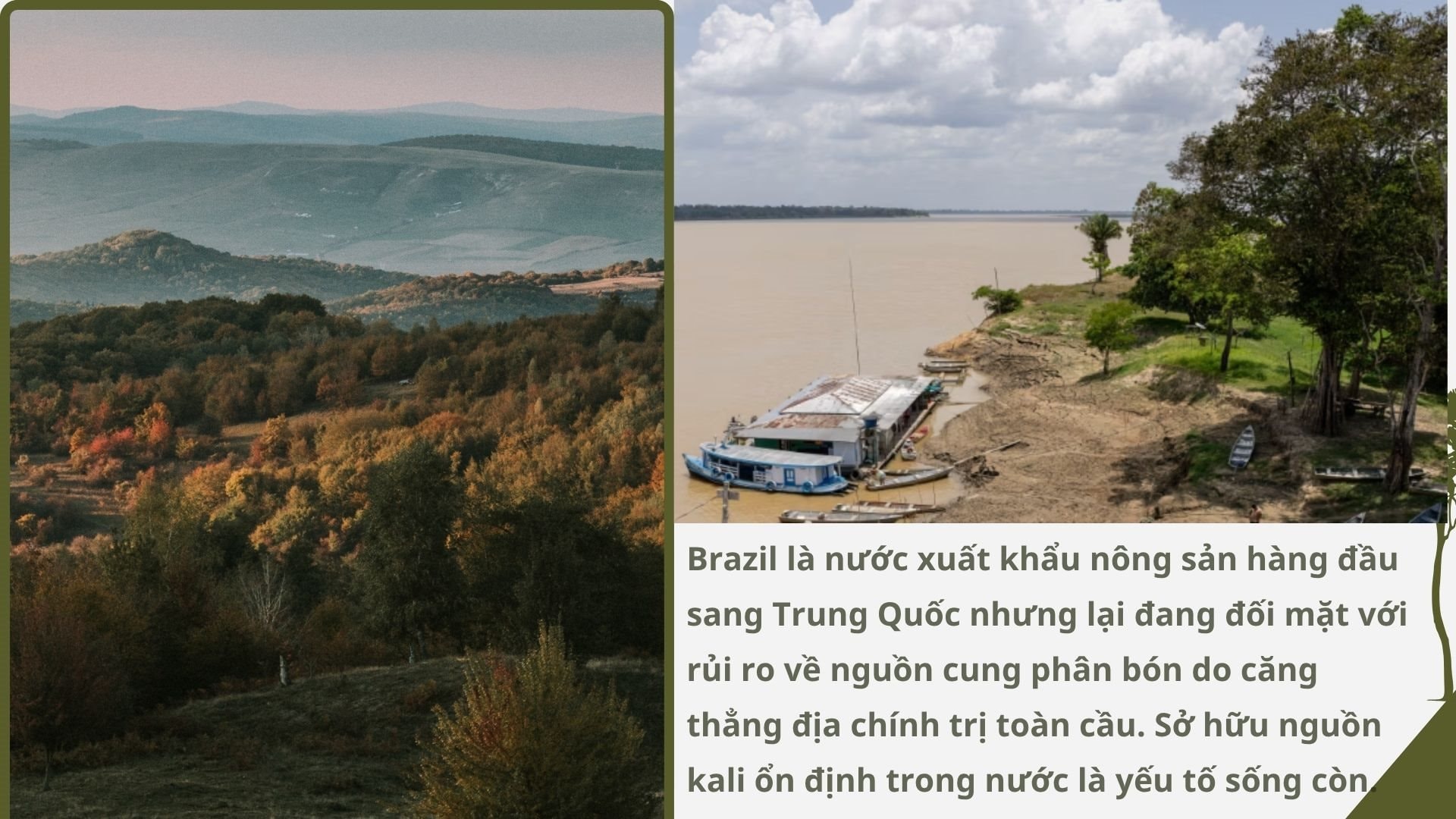 Không phải vàng hay dầu, nền kinh tế trên 200 triệu dân săn lùng ‘kho báu’ trải dài 400 km sâu dưới rừng nhằm dắt lưng 'vũ khí' giữa thương chiến, Trung Quốc ngỏ ý tham gia - Ảnh 6.