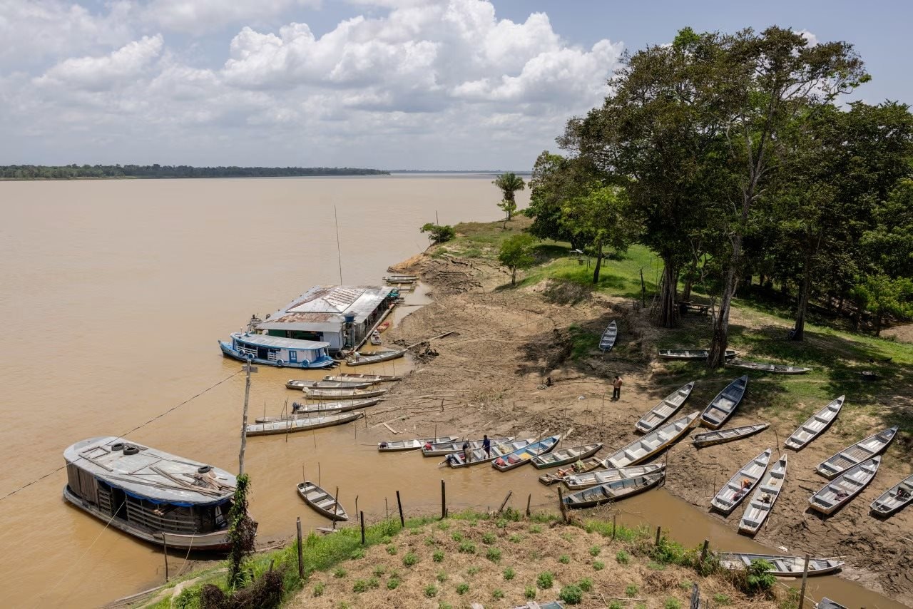Không phải vàng hay dầu, nền kinh tế trên 200 triệu dân săn lùng ‘kho báu’ trải dài 400 km sâu dưới rừng nhằm dắt lưng 'vũ khí' giữa thương chiến, Trung Quốc ngỏ ý tham gia - Ảnh 1.