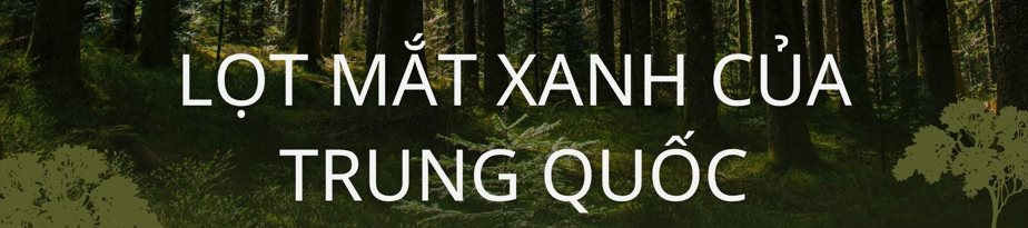 Không phải vàng hay dầu, nền kinh tế trên 200 triệu dân săn lùng ‘kho báu’ trải dài 400 km sâu dưới rừng nhằm dắt lưng 'vũ khí' giữa thương chiến, Trung Quốc ngỏ ý tham gia - Ảnh 5.