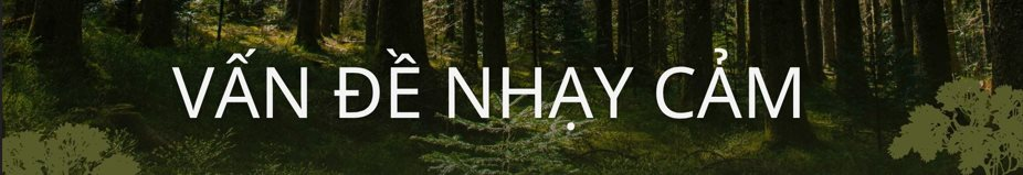 Không phải vàng hay dầu, nền kinh tế trên 200 triệu dân săn lùng ‘kho báu’ trải dài 400 km sâu dưới rừng nhằm dắt lưng 'vũ khí' giữa thương chiến, Trung Quốc ngỏ ý tham gia - Ảnh 7.