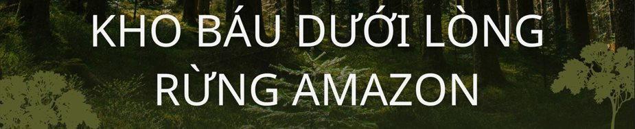 Không phải vàng hay dầu, nền kinh tế trên 200 triệu dân săn lùng ‘kho báu’ trải dài 400 km sâu dưới rừng nhằm dắt lưng 'vũ khí' giữa thương chiến, Trung Quốc ngỏ ý tham gia - Ảnh 2.