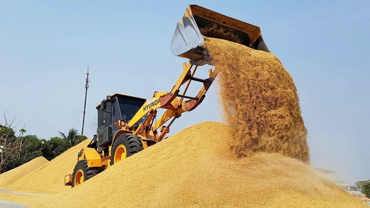 Vựa lúa lớn nhất thế giới tồn kho tăng kỷ lục, đối thủ của gạo Việt Nam nhận tin không vui - Ảnh 1.