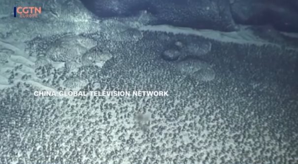 Ph&aacute;t hiện b&aacute;u vật la liệt dưới đ&aacute;y biển, Mỹ v&agrave; Trung Quốc chạy đua gi&agrave;nh phần hơn, ch&igrave;a kh&oacute;a cho năng lượng tương lai- Ảnh 2.