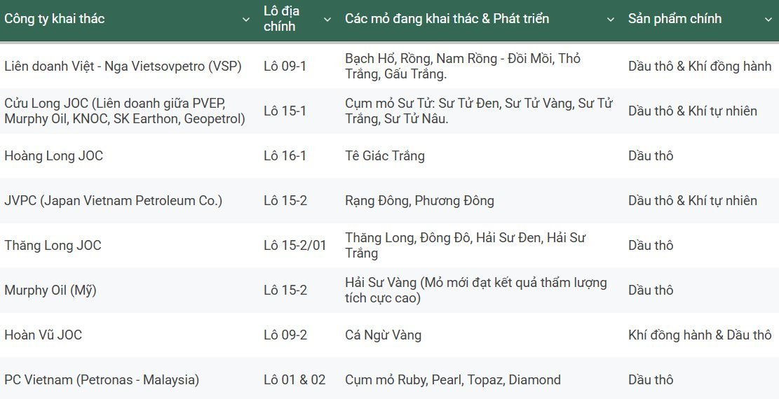 Petrovietnam thông báo quan trọng về bể trầm tích lớn nhất cả nước- Ảnh 1.