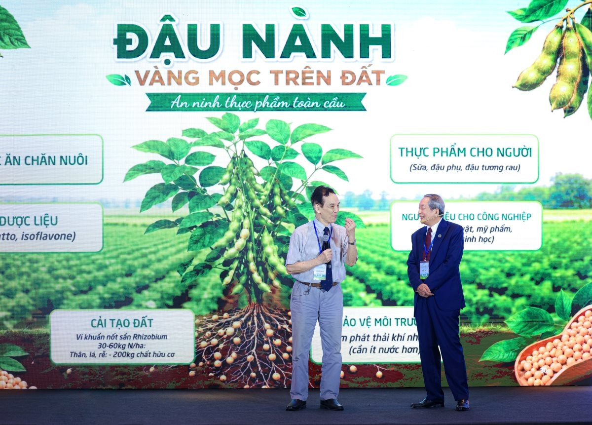 Được GS.TS Trần Đ&igrave;nh Long v&iacute; như &ldquo;v&agrave;ng mọc tr&ecirc;n đất&rdquo;, lo&agrave;i c&acirc;y n&agrave;y gi&uacute;p một doanh nghiệp Việt v&agrave;o Top 5 thế giới, doanh thu hơn 4.100 tỷ đồng/năm - Ảnh 2.