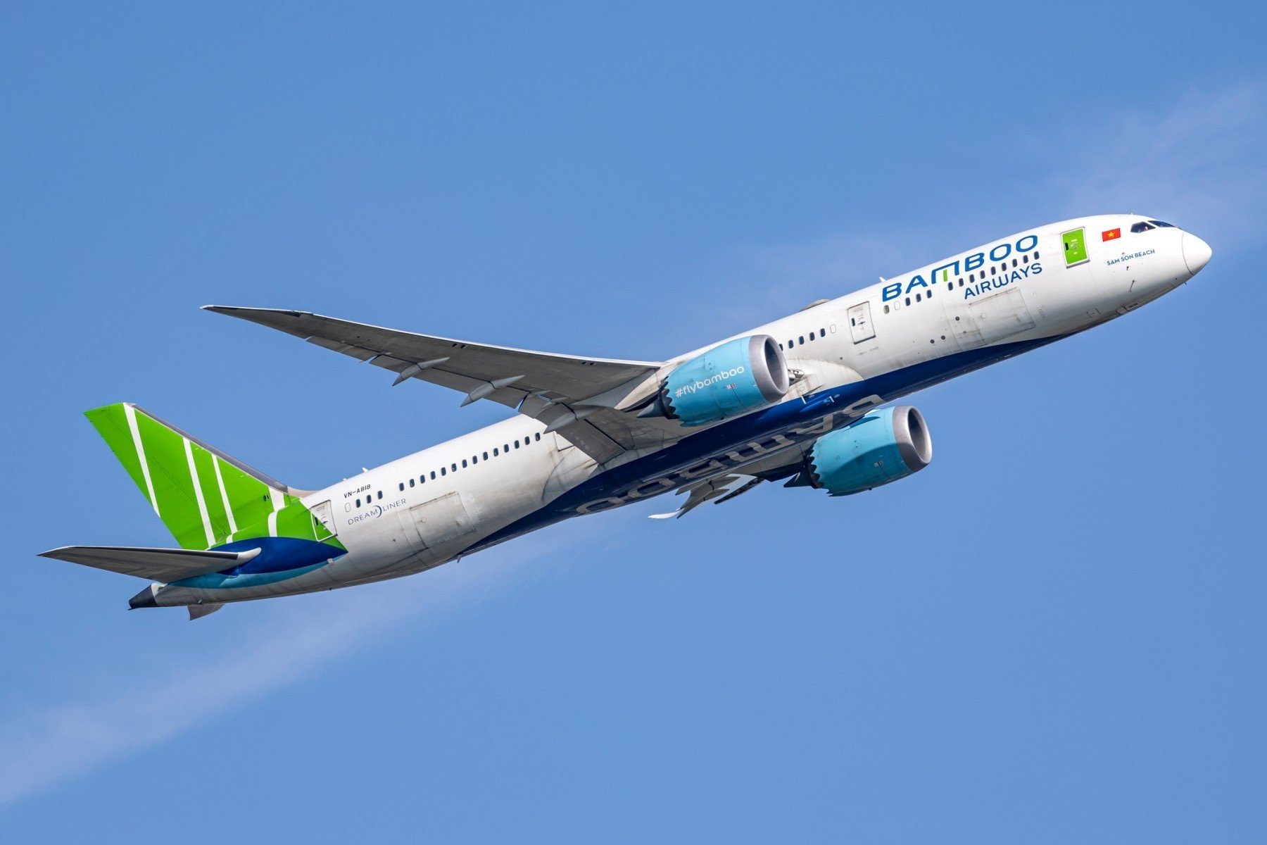 Chuyện gì đang xảy ra với Bamboo Airways?- Ảnh 1.